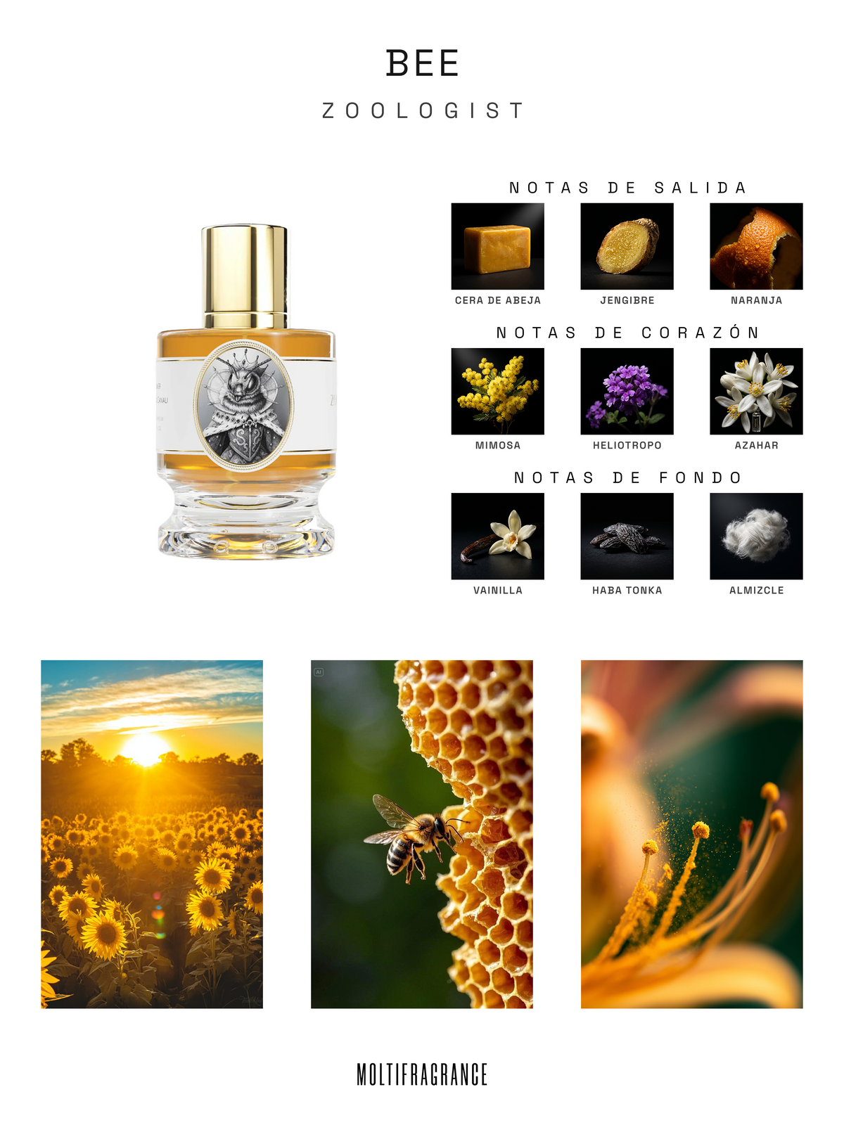 Zoologist - Bee