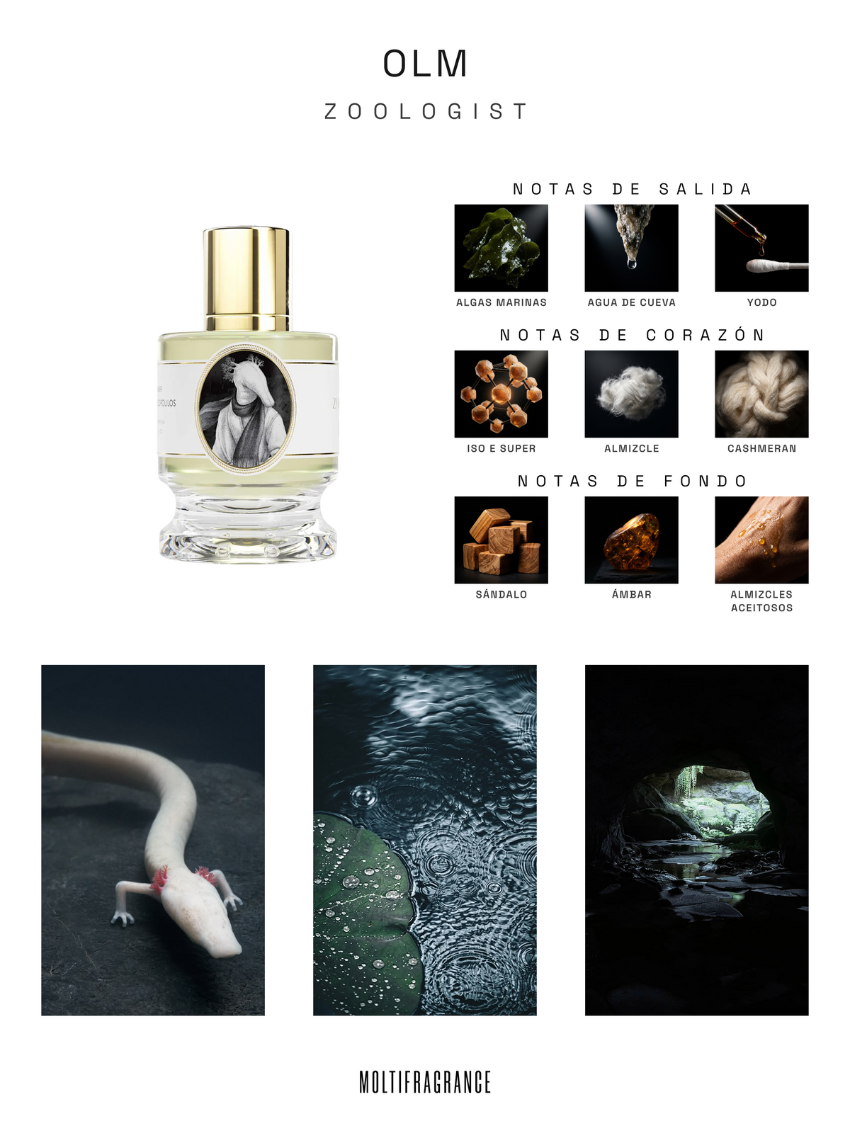 Zoologist - Olm