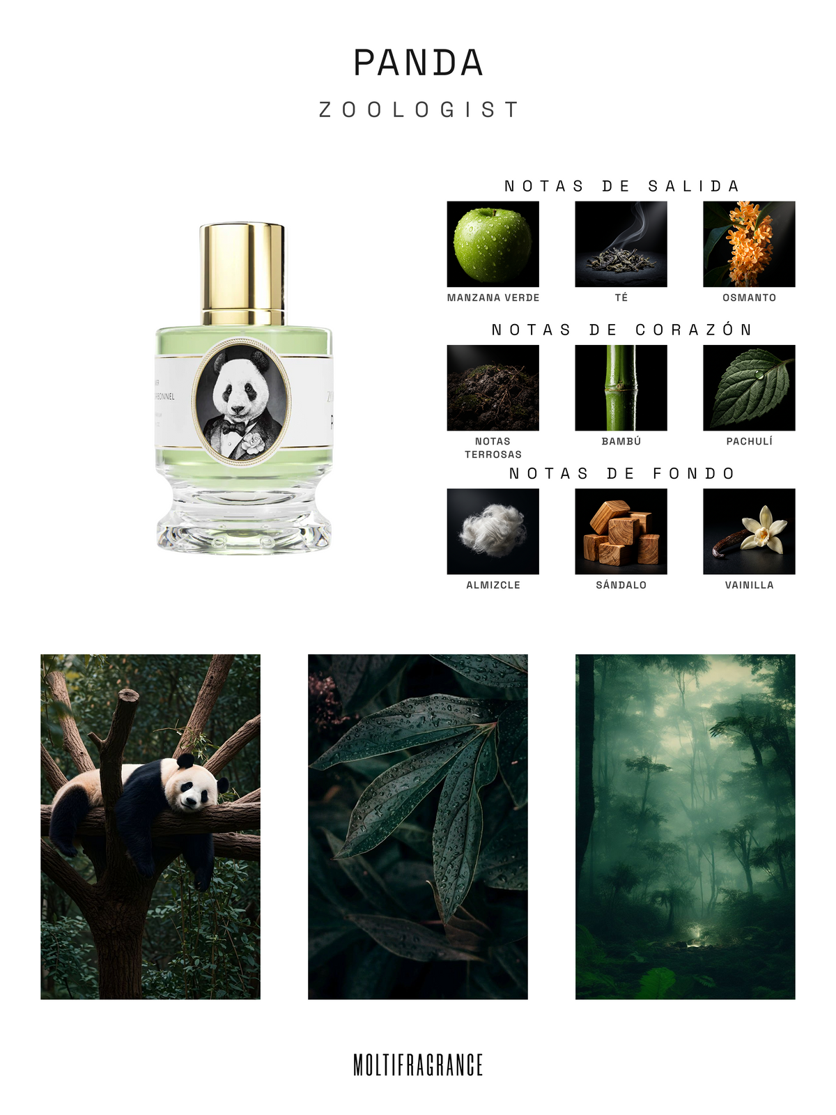 Zoologist - Panda