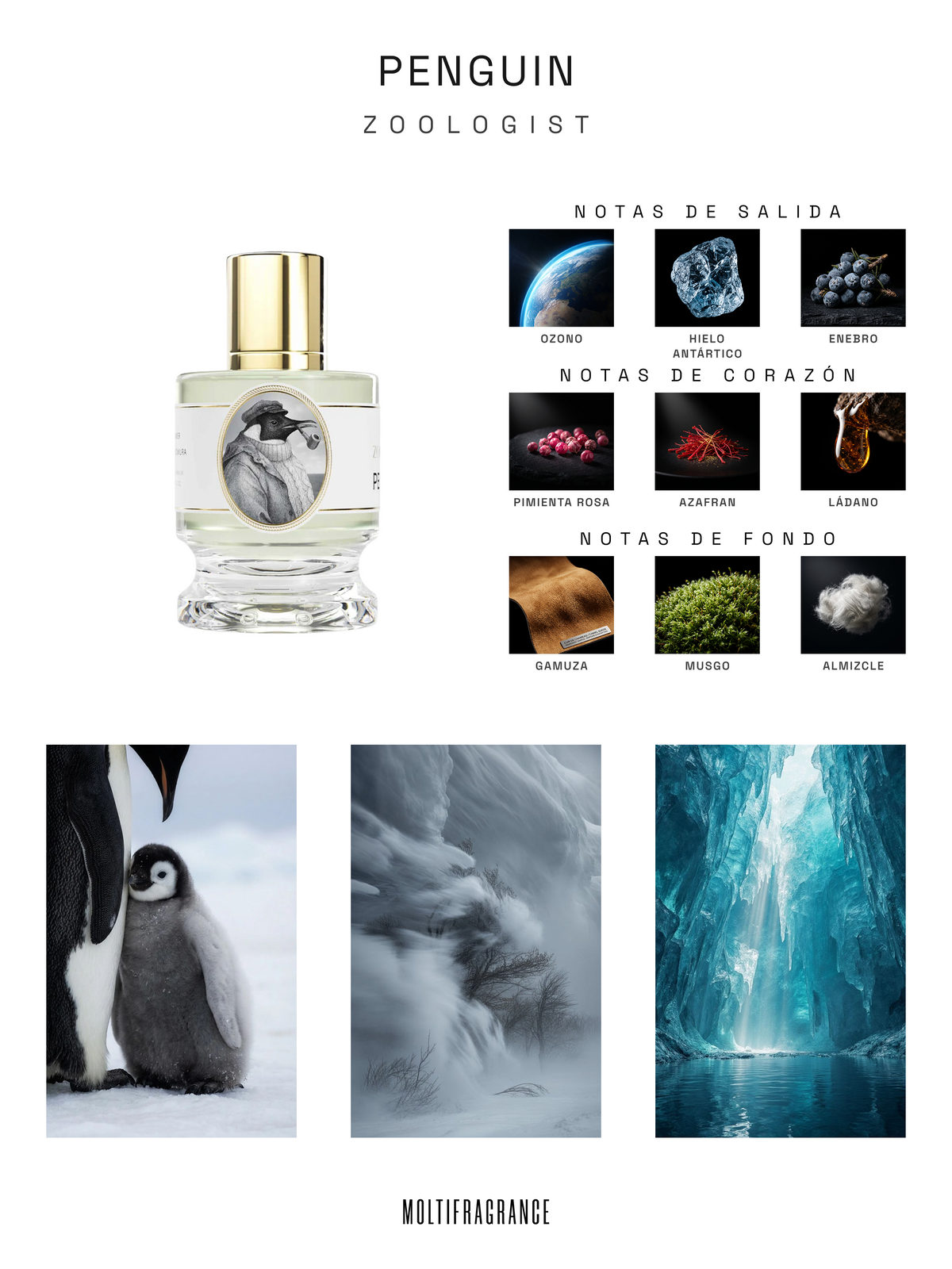 Zoologist - Penguin