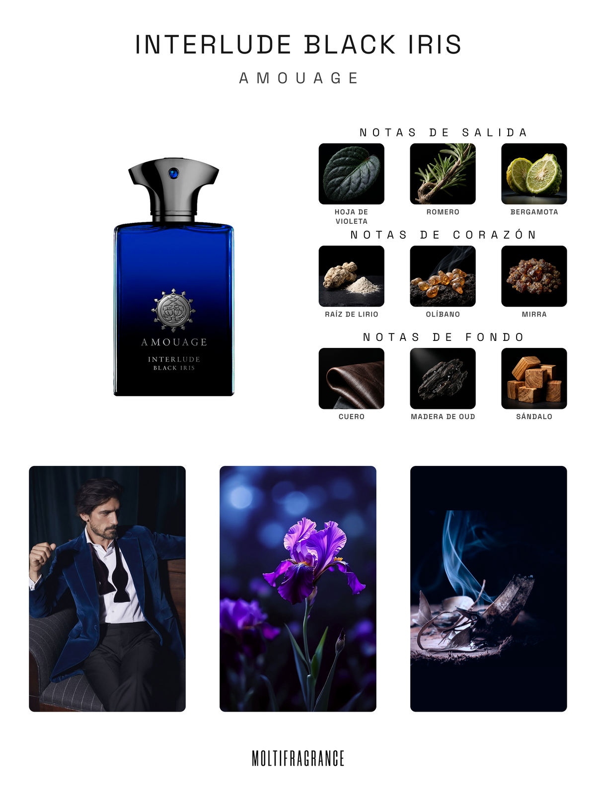 Interlude Black Iris