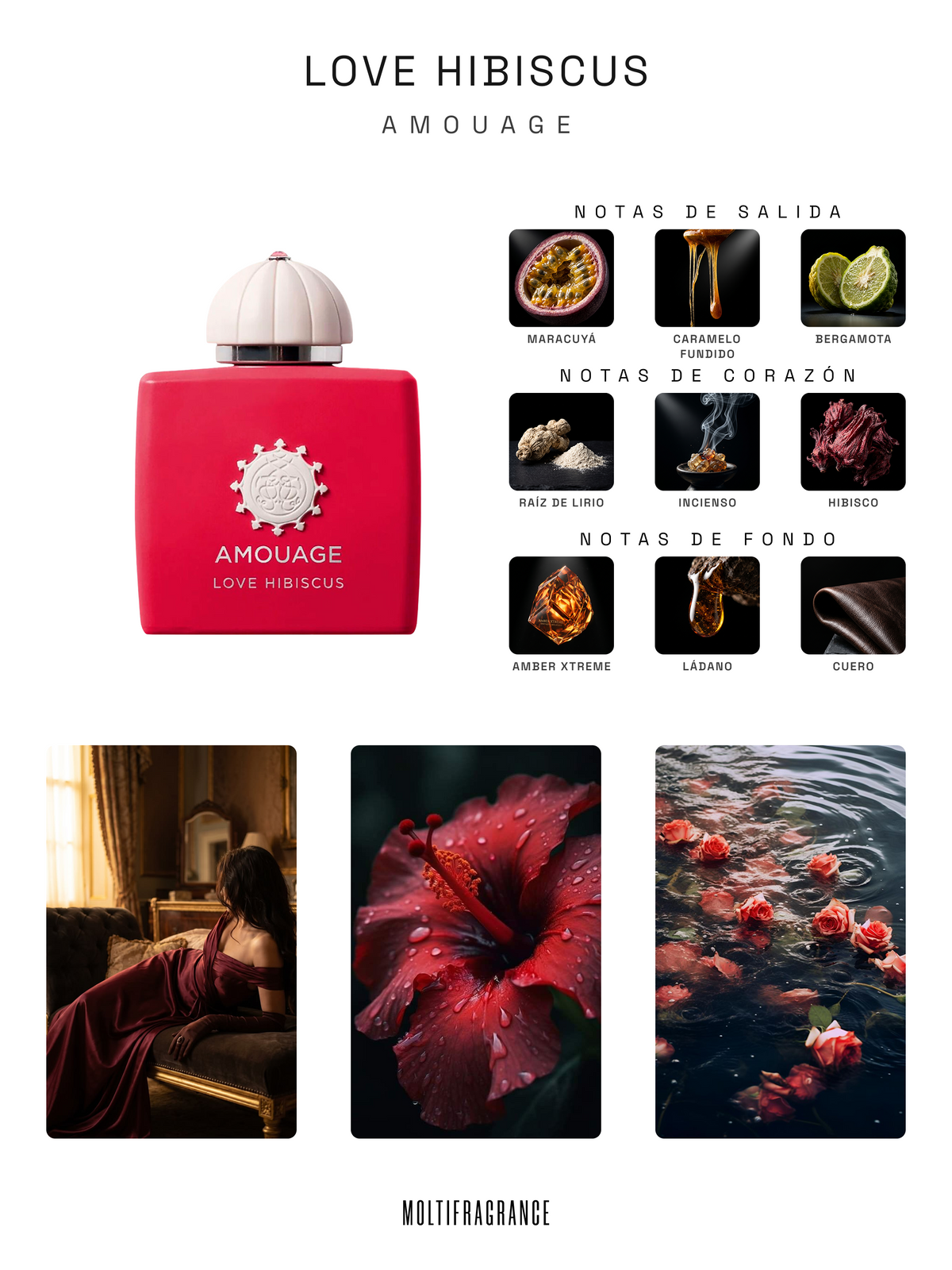 Love Hibiscus